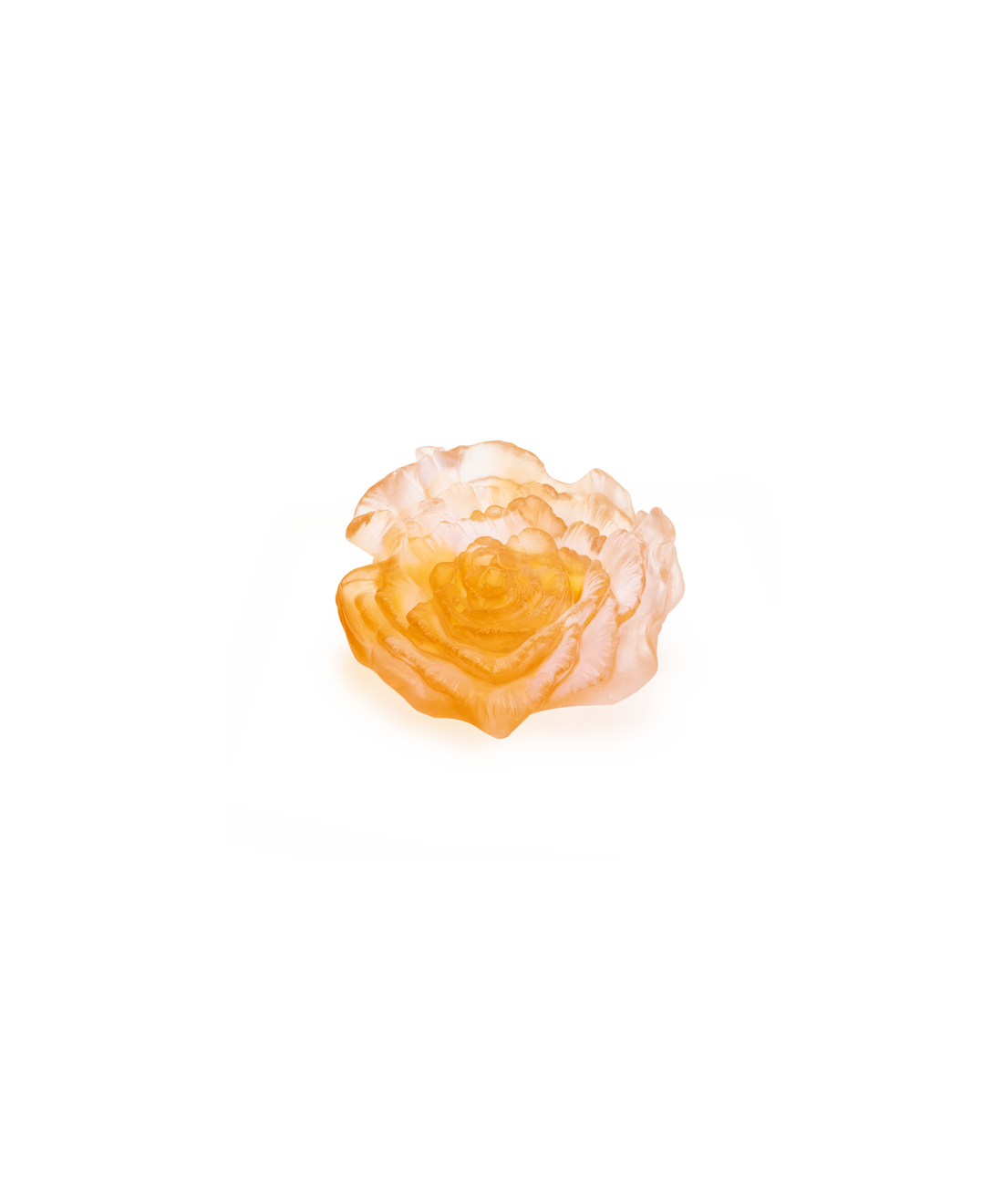 Rose Royale Fleur décorative - Daum