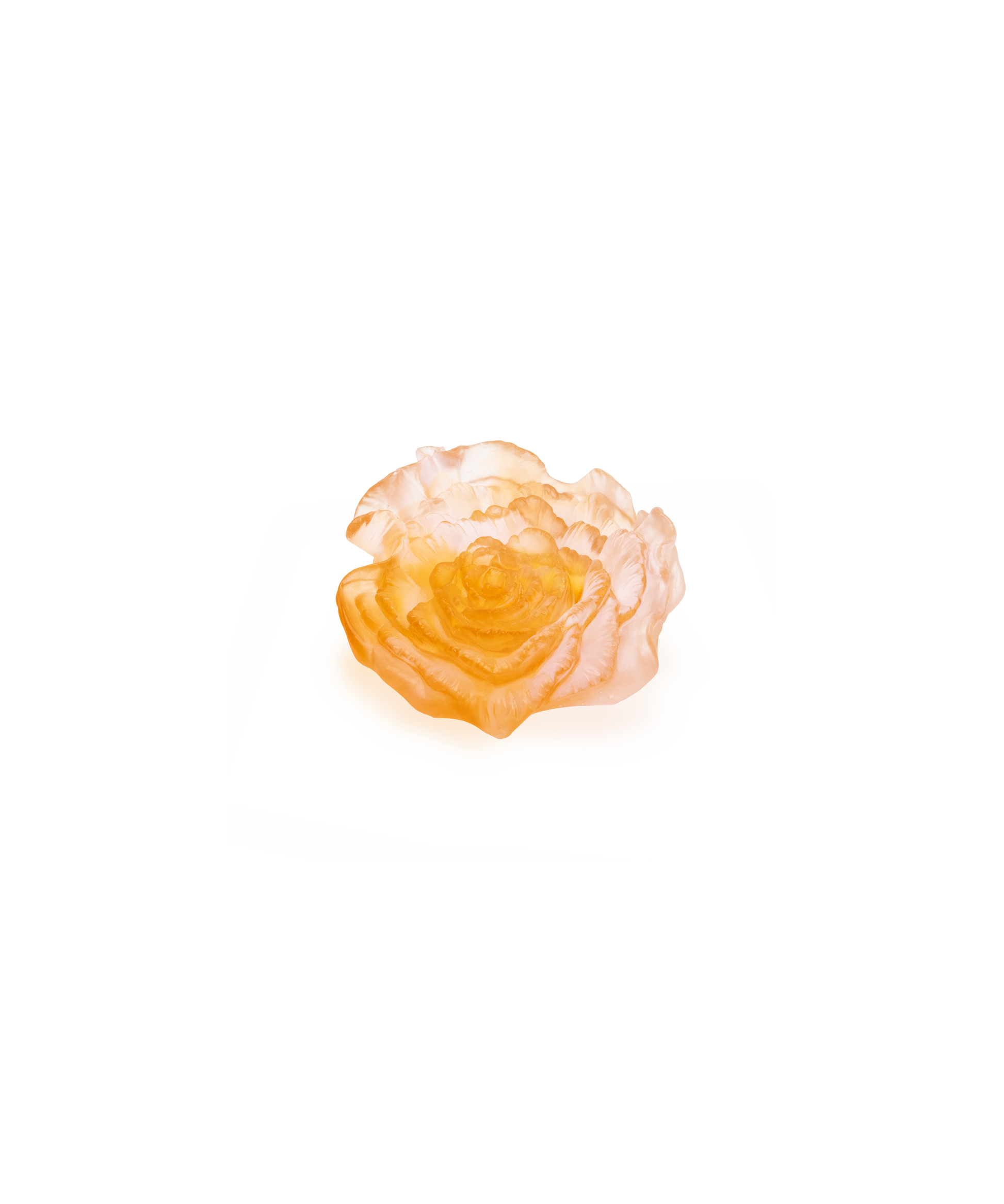 Rose Royale Fleur décorative - Daum