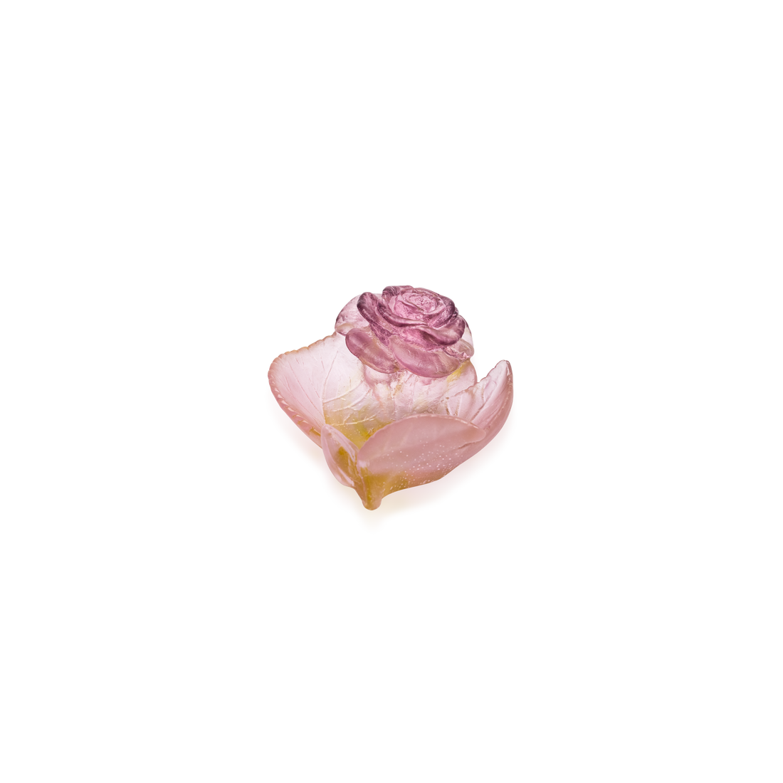 Roses Mini Coupelle - Daum