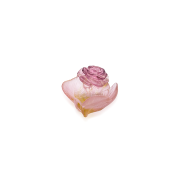 Roses Mini Coupelle - Daum