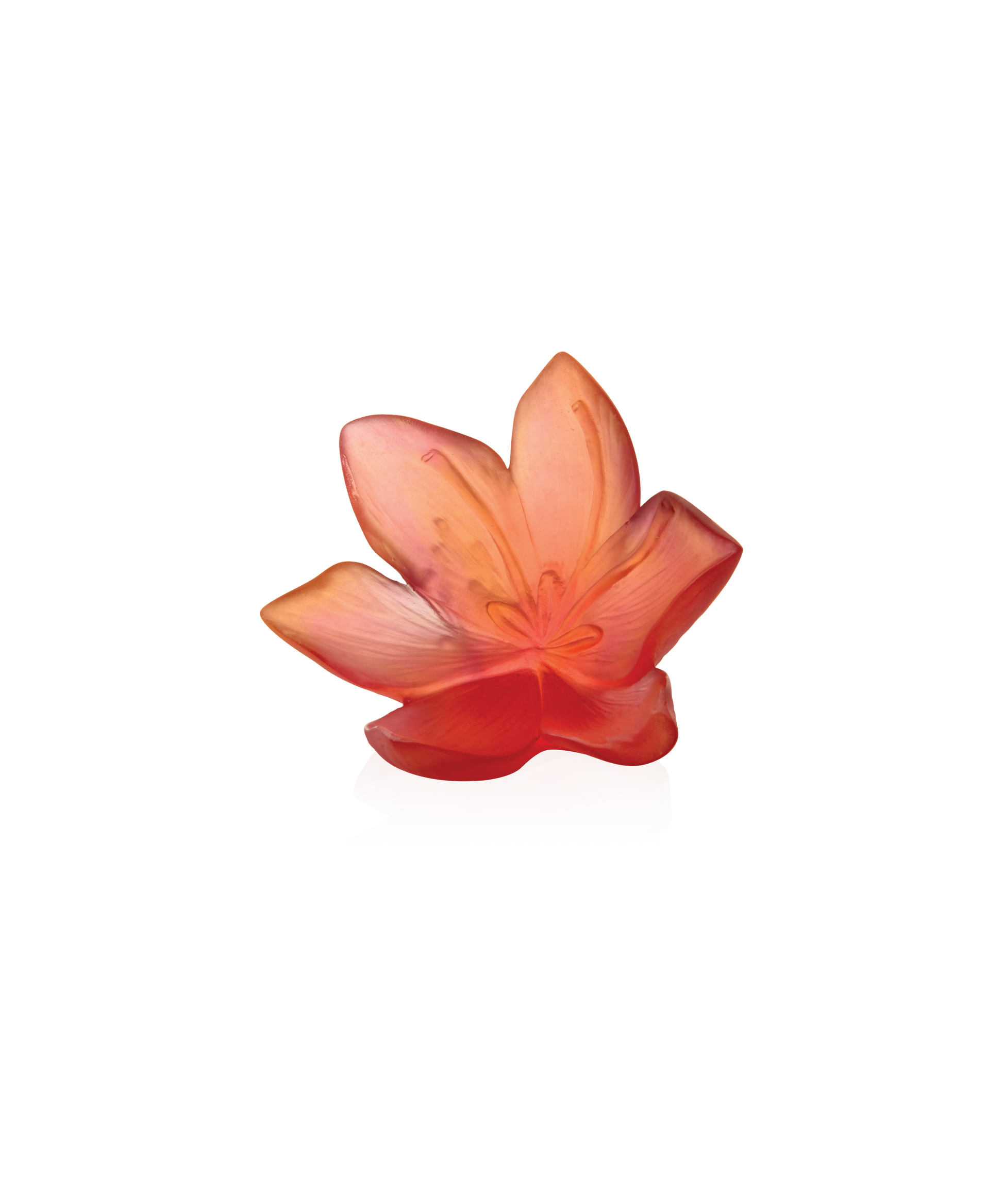 Safran Fleur décorative grand modèle - Daum