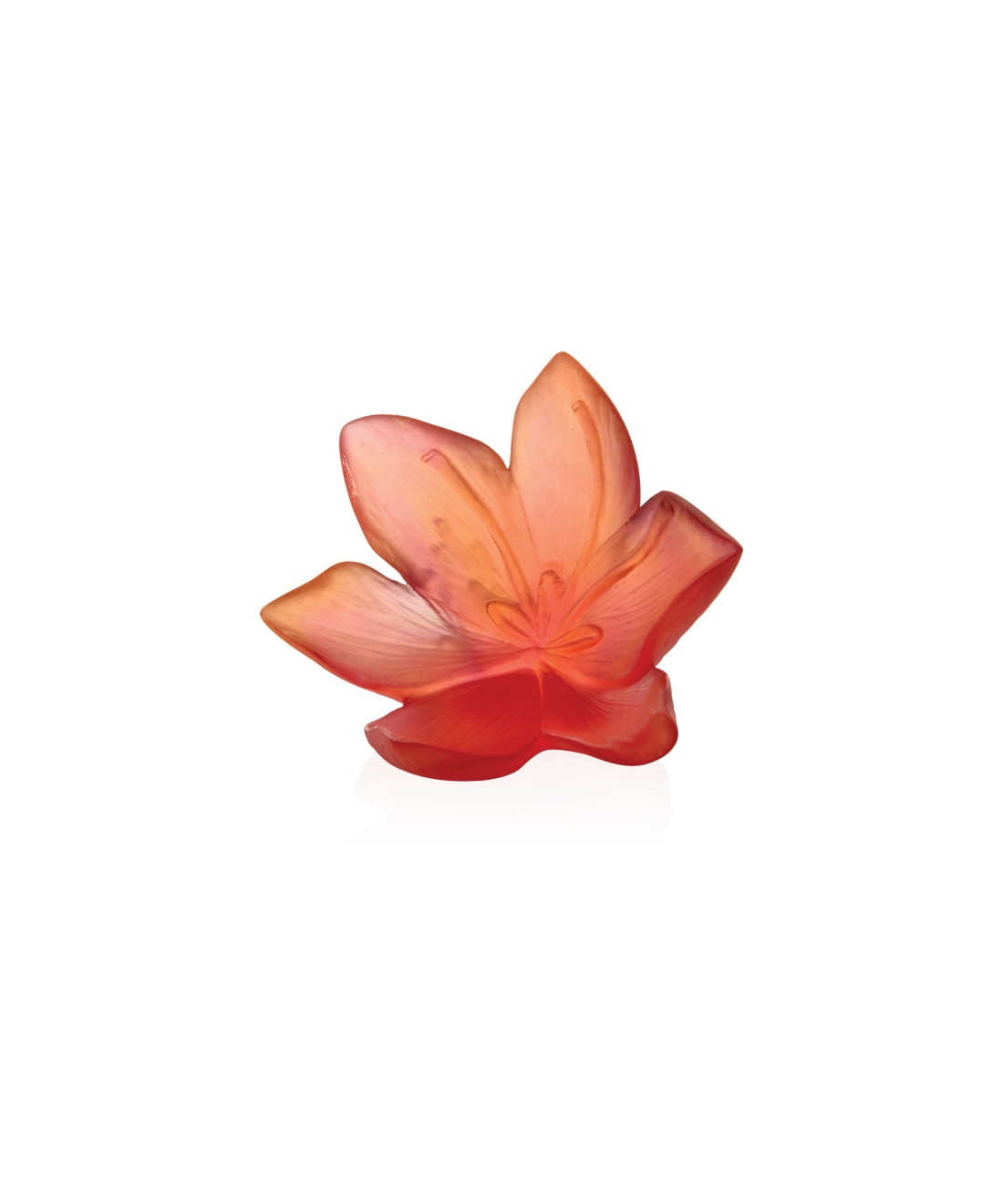 Safran Fleur décorative grand modèle - Daum