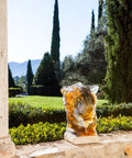 Tête de Lion de Patrick Villas 75ex - Daum