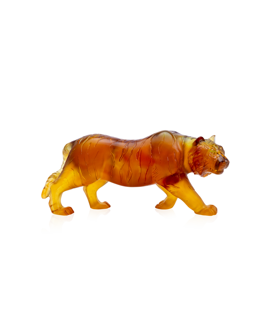 Tigre - Daum