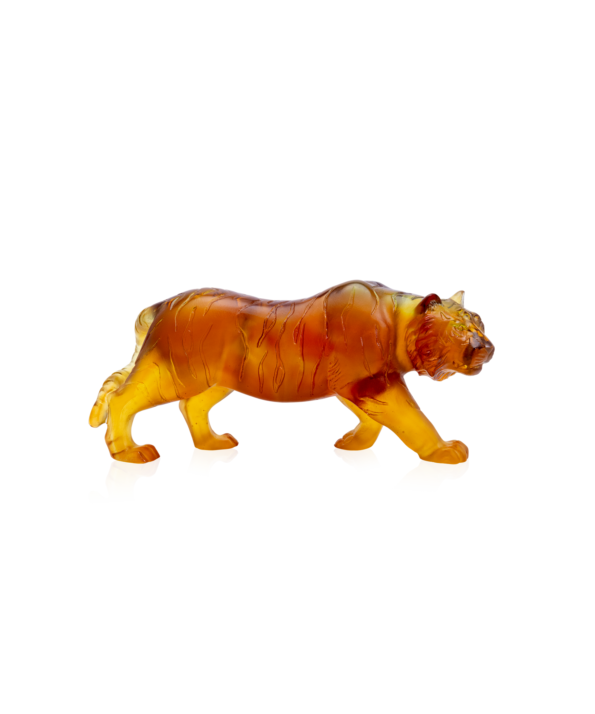 Tigre - Daum