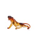 Tigre du Bengale - Daum