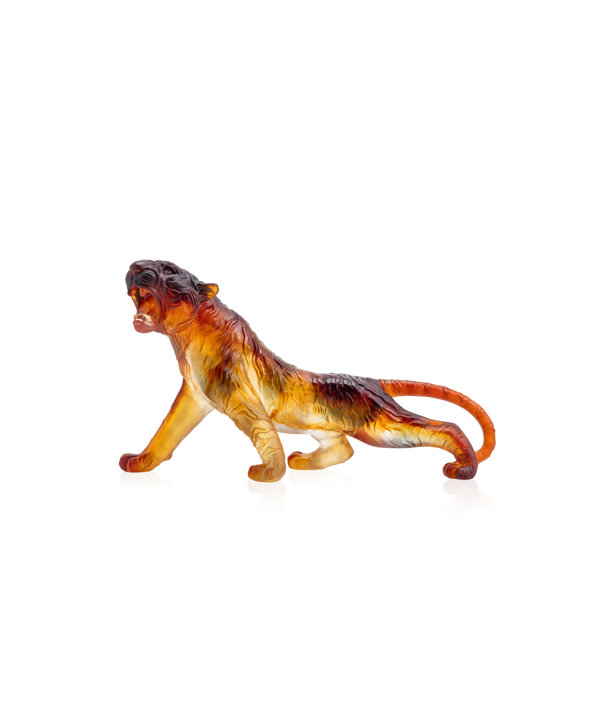 Tigre du Bengale - Daum