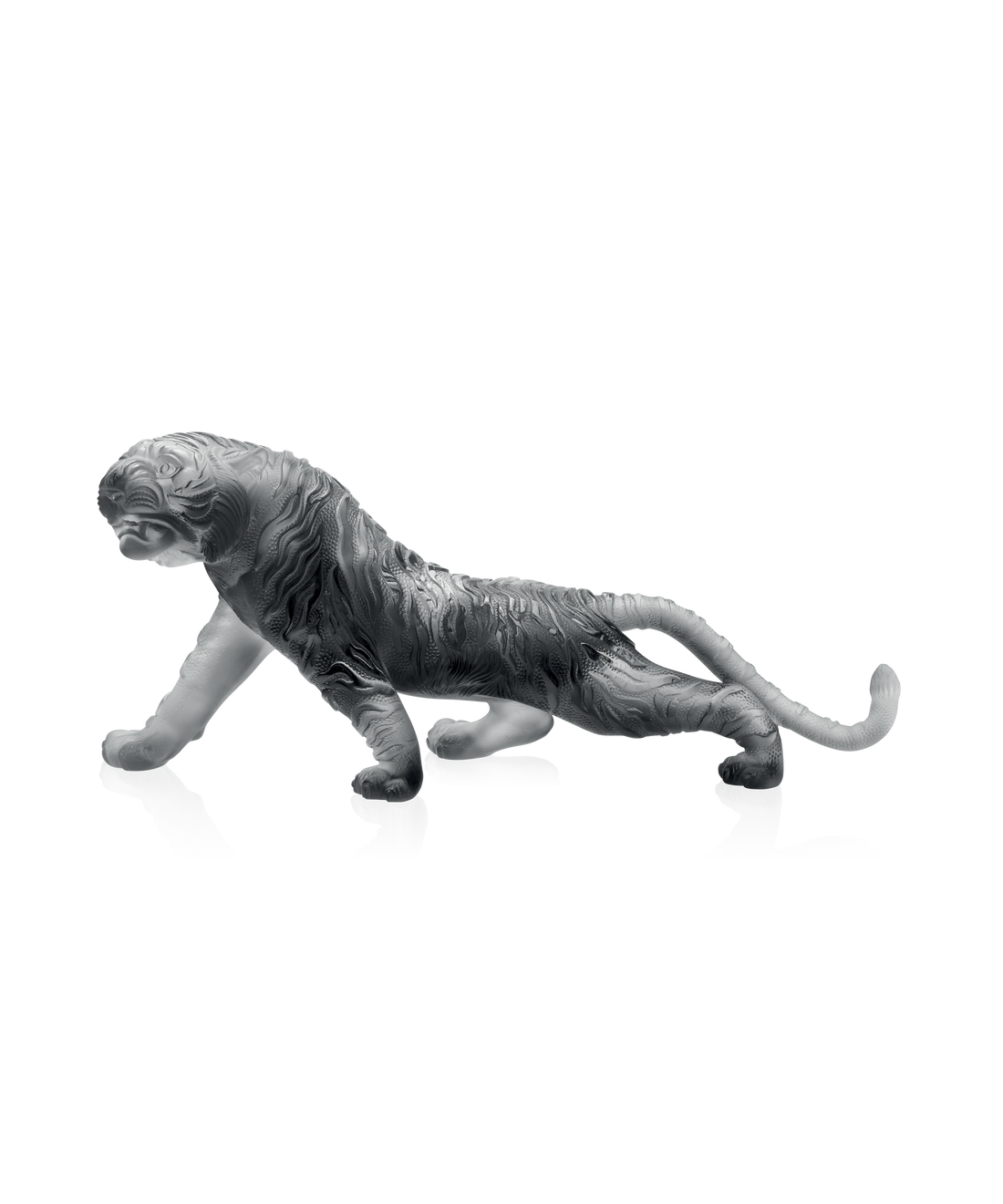 Tigre du Bengale magnum Gris 88ex - Daum