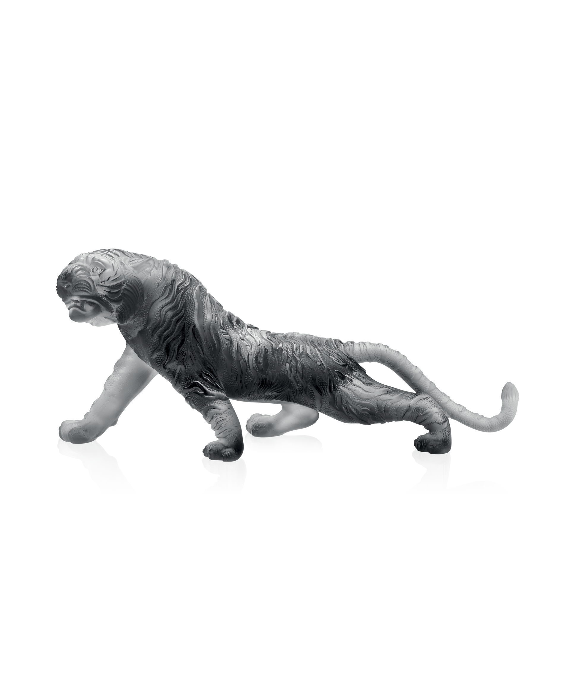 Tigre du Bengale magnum Gris 88ex - Daum