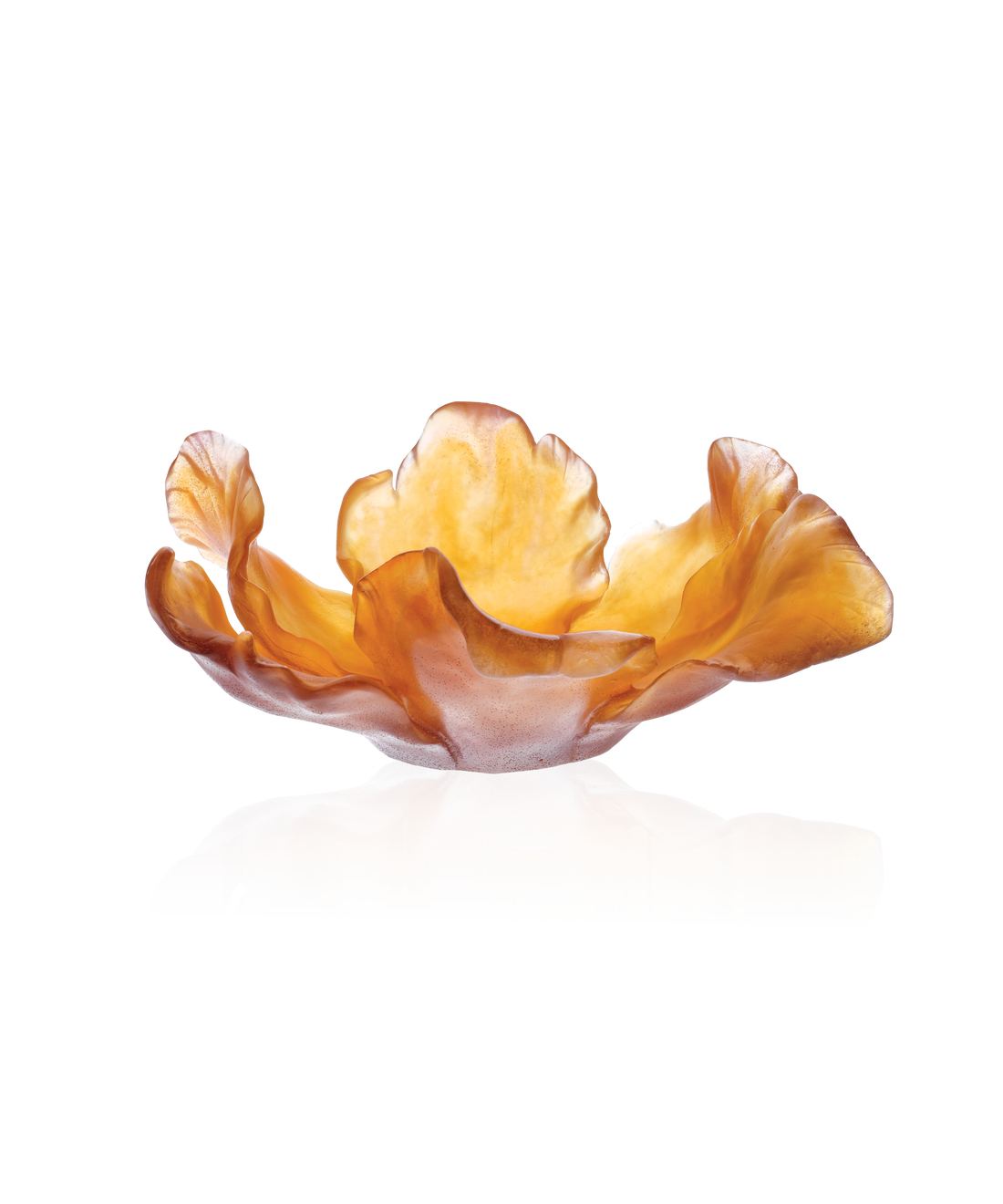 Tulipe Coupe Ambre - Daum