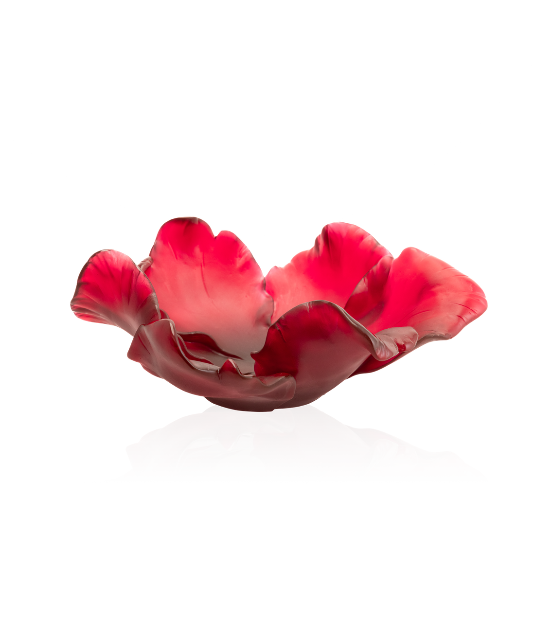 Tulipe Coupe Rouge - Daum