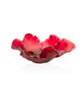 Tulipe Coupe Rouge - Daum