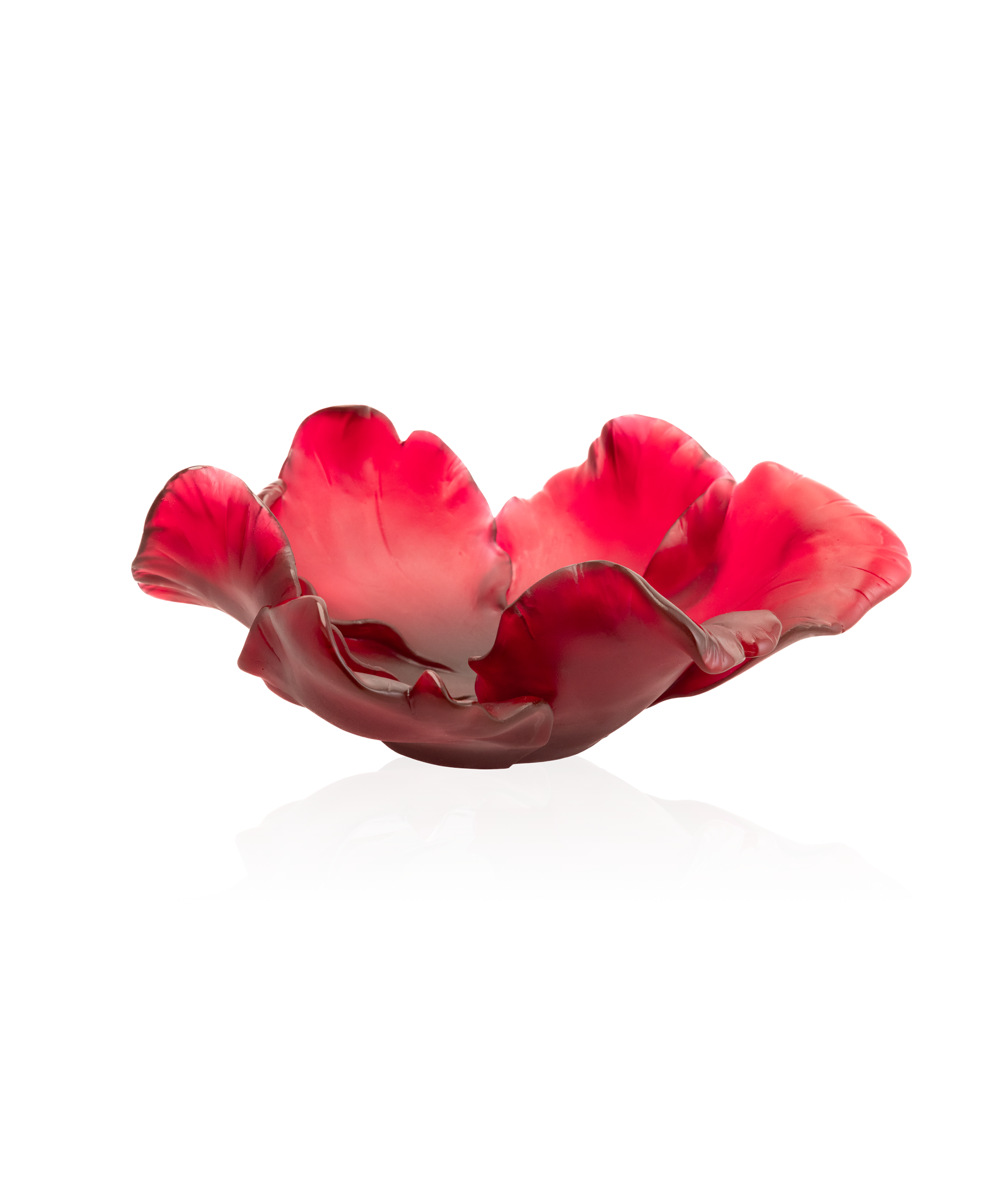 Tulipe Coupe Rouge - Daum