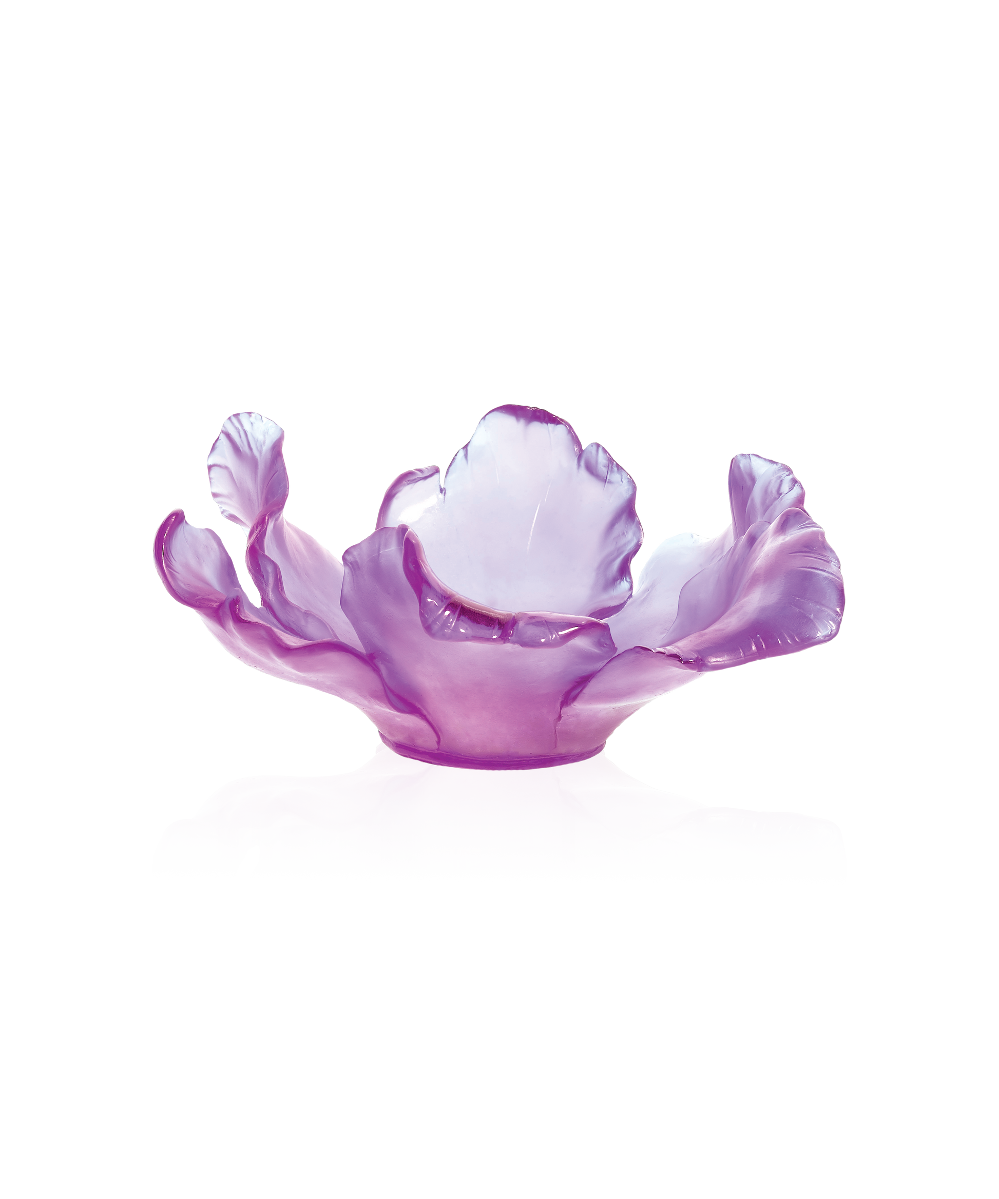 Tulipe Coupe Ultraviolet - Daum
