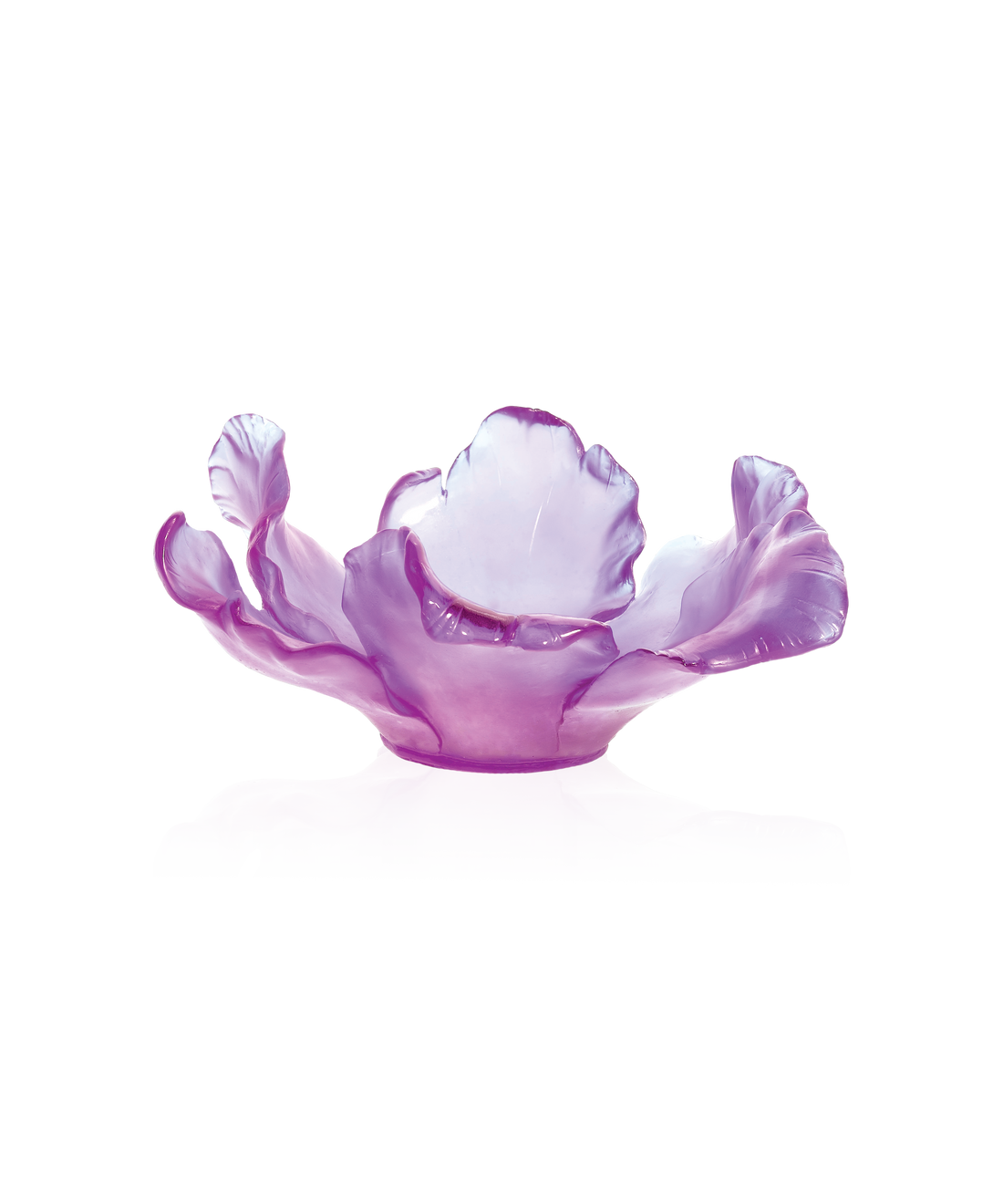 Tulipe Coupe Ultraviolet - Daum