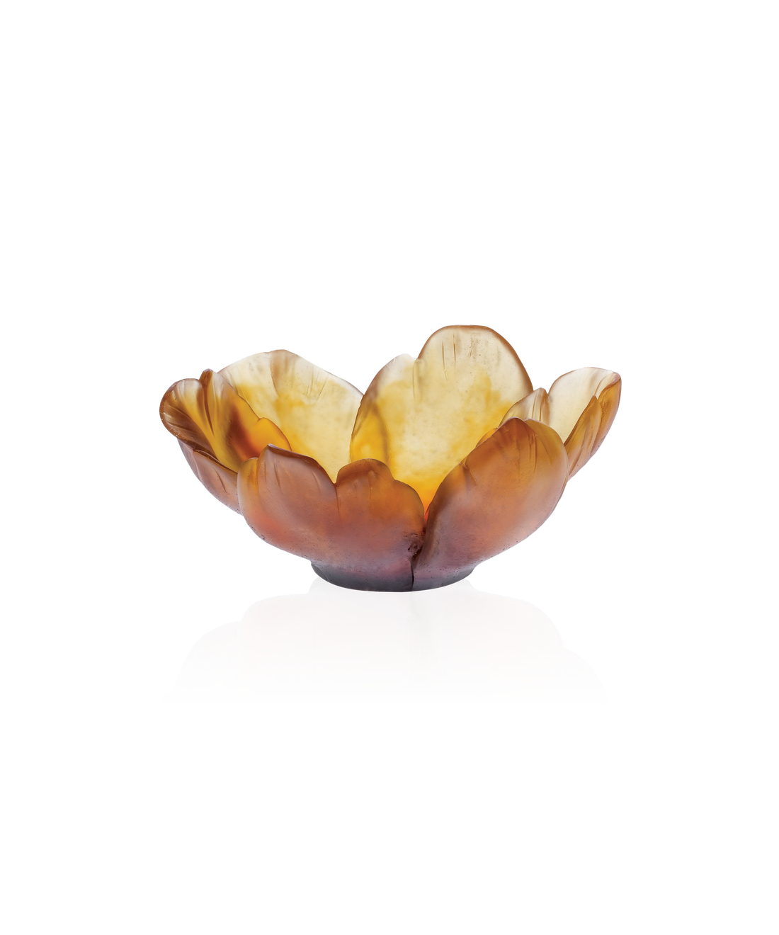 Tulipe Coupelle Ambre - Daum