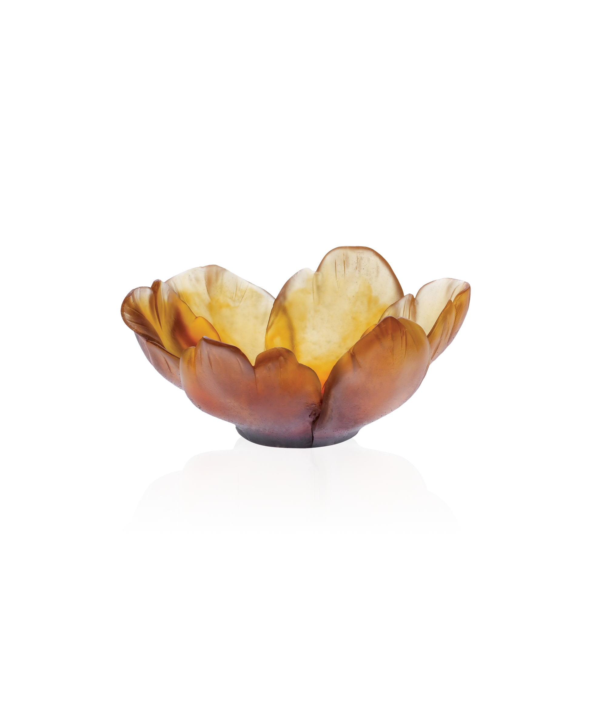 Tulipe Coupelle Ambre - Daum