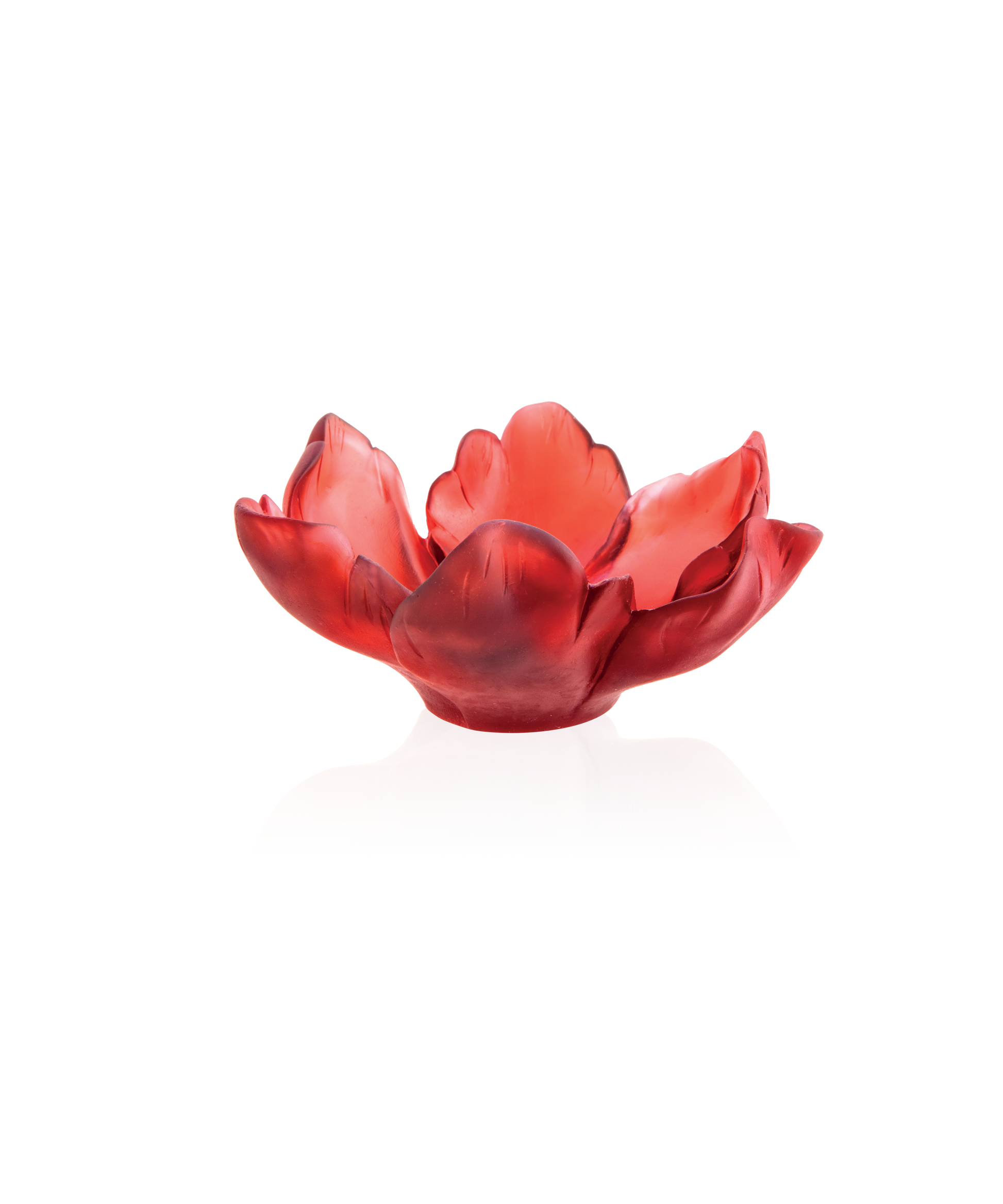 Tulipe Coupelle Rouge - Daum