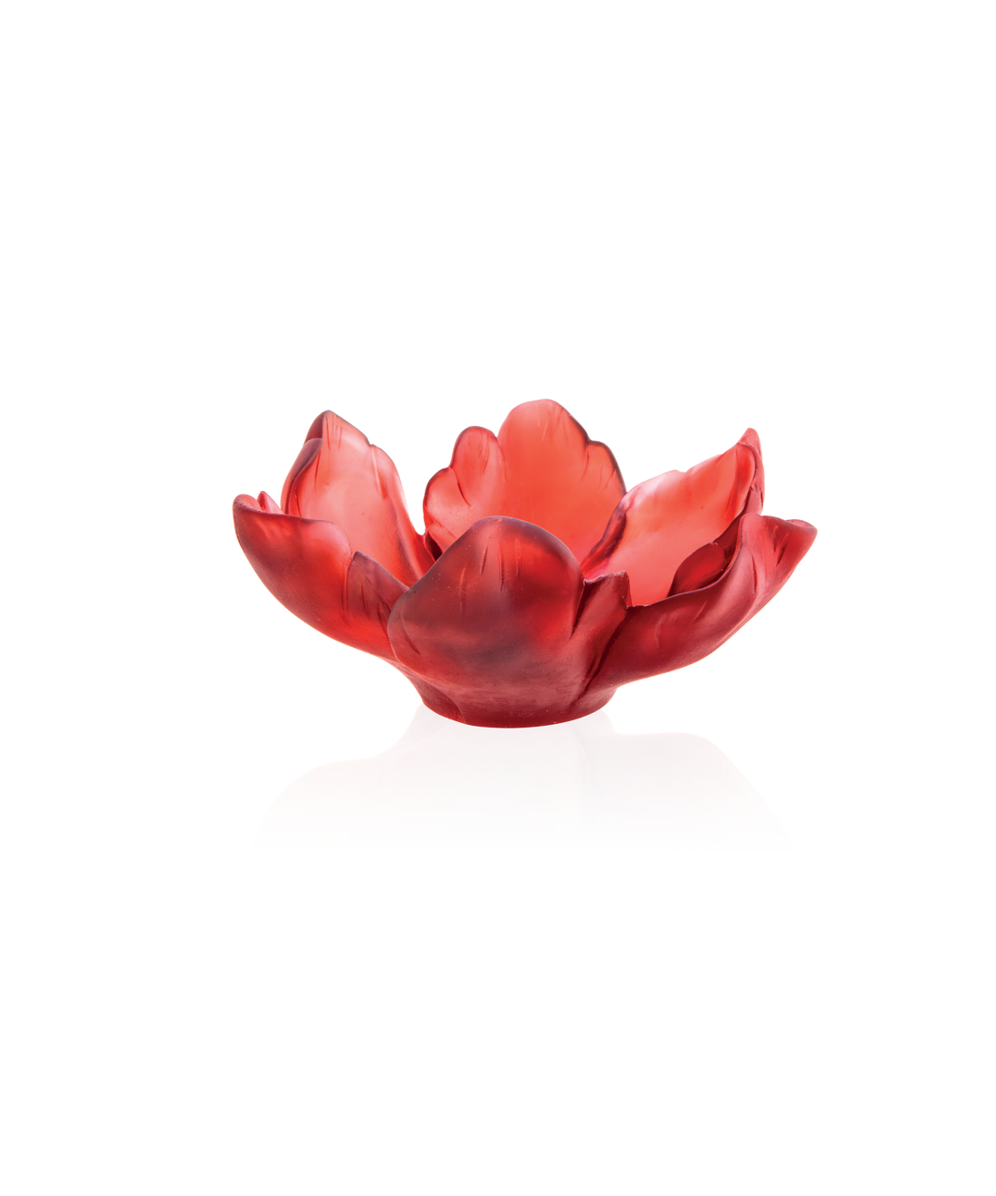Tulipe Coupelle Rouge - Daum