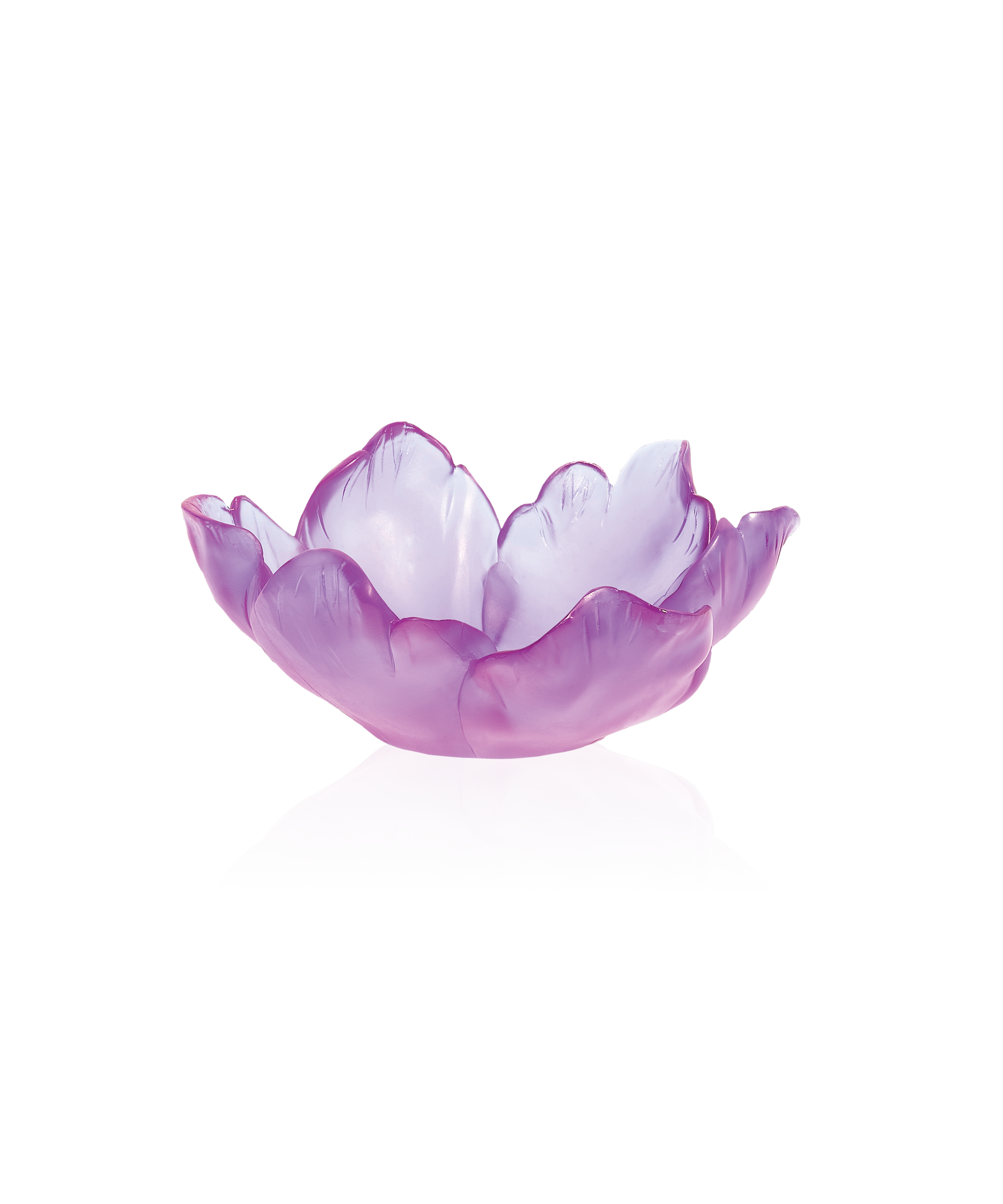Tulipe Coupelle Ultraviolet - Daum