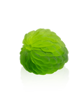 Tutti Frutti Sugar apple de Gilles Neveu 299ex - Daum