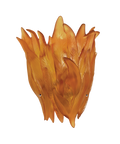 Végétale Applique Ambre - Daum
