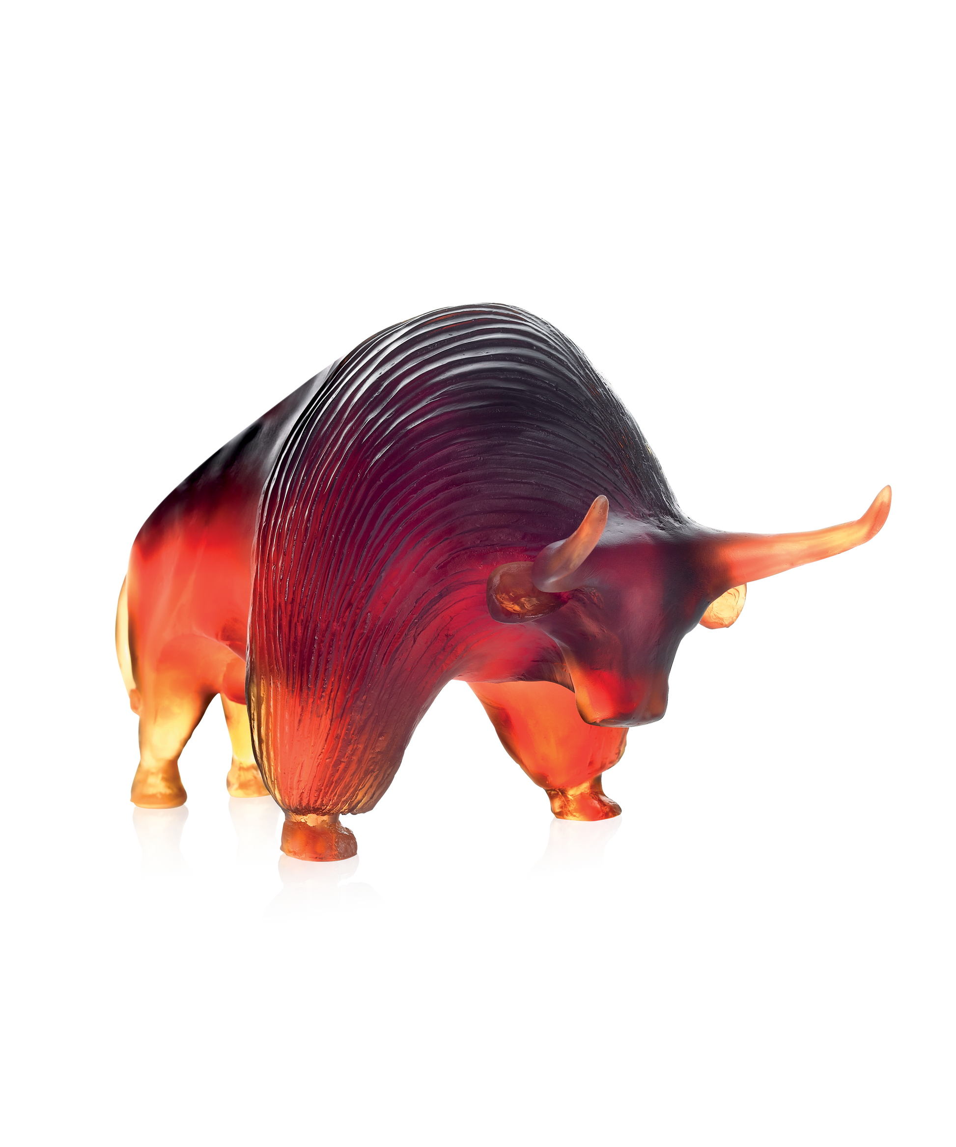 Zebu de Xavier Carnoy 1000ex - Daum