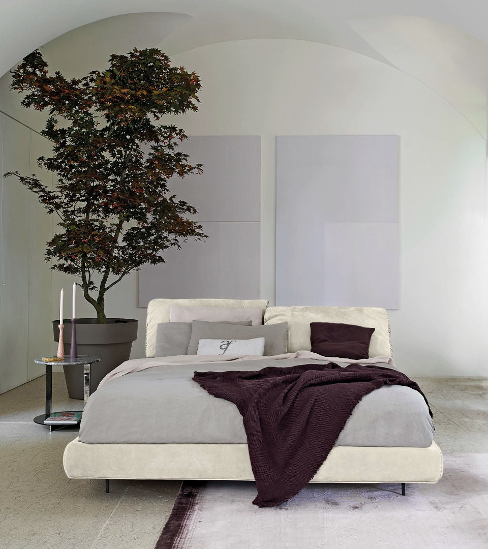 Crazy Dream - Arketipo