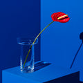 Limelight Vase Clear Tall