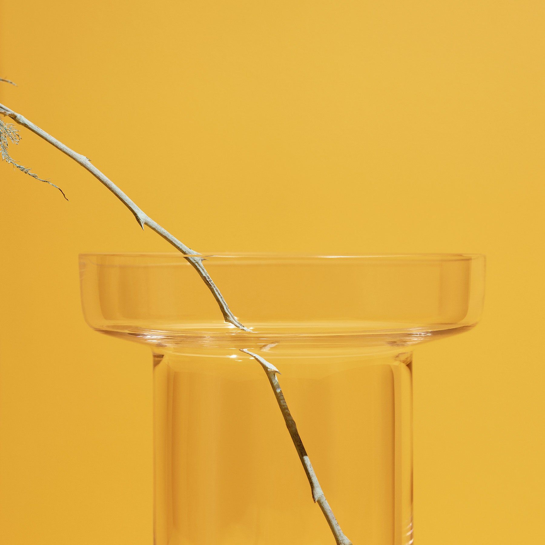 Limelight Vase Clear Tall