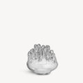 Polar Clear Small