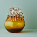 Polar Amber Medium