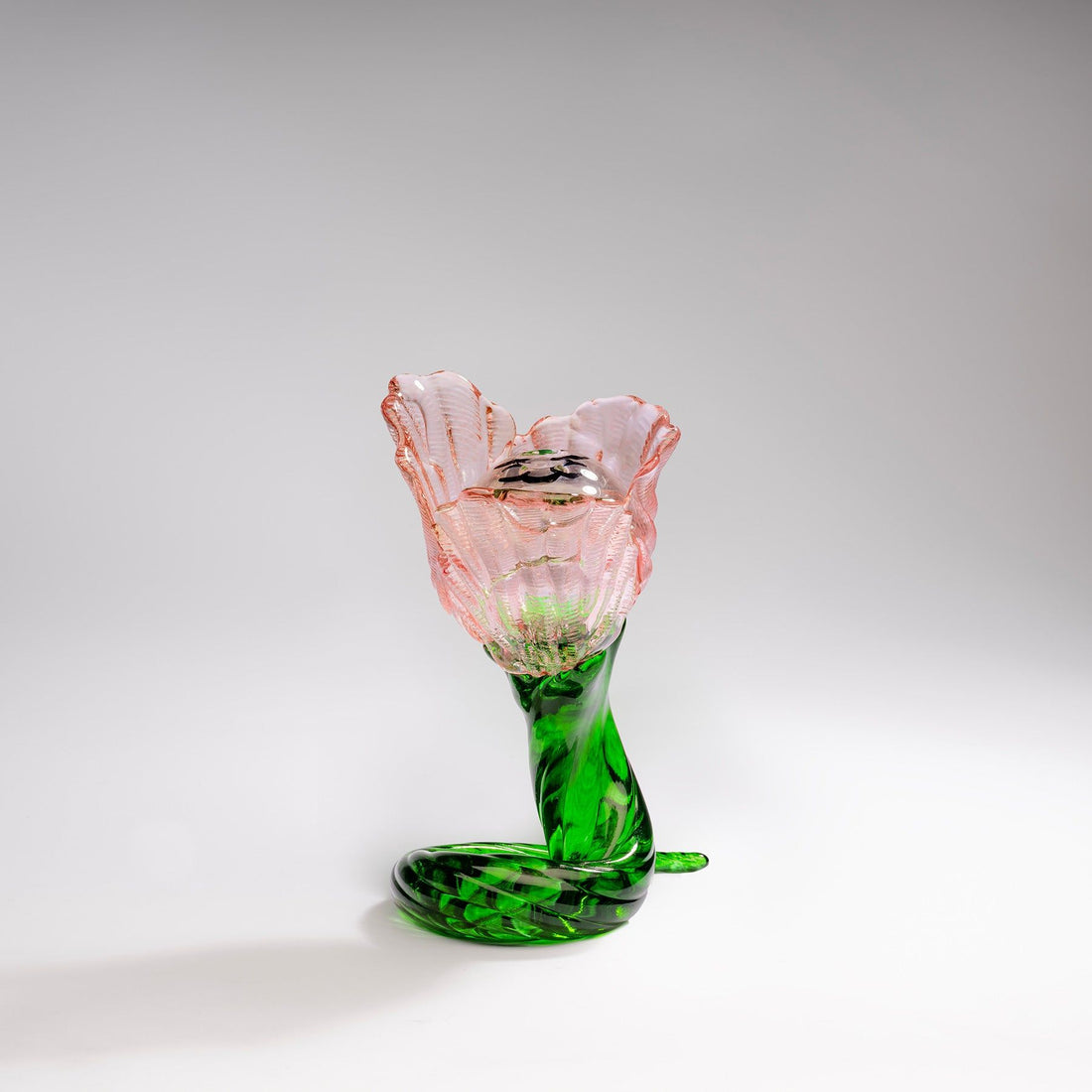 Flower Ld 100