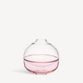 Septum Pink