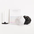 Berry Tales White Frosted