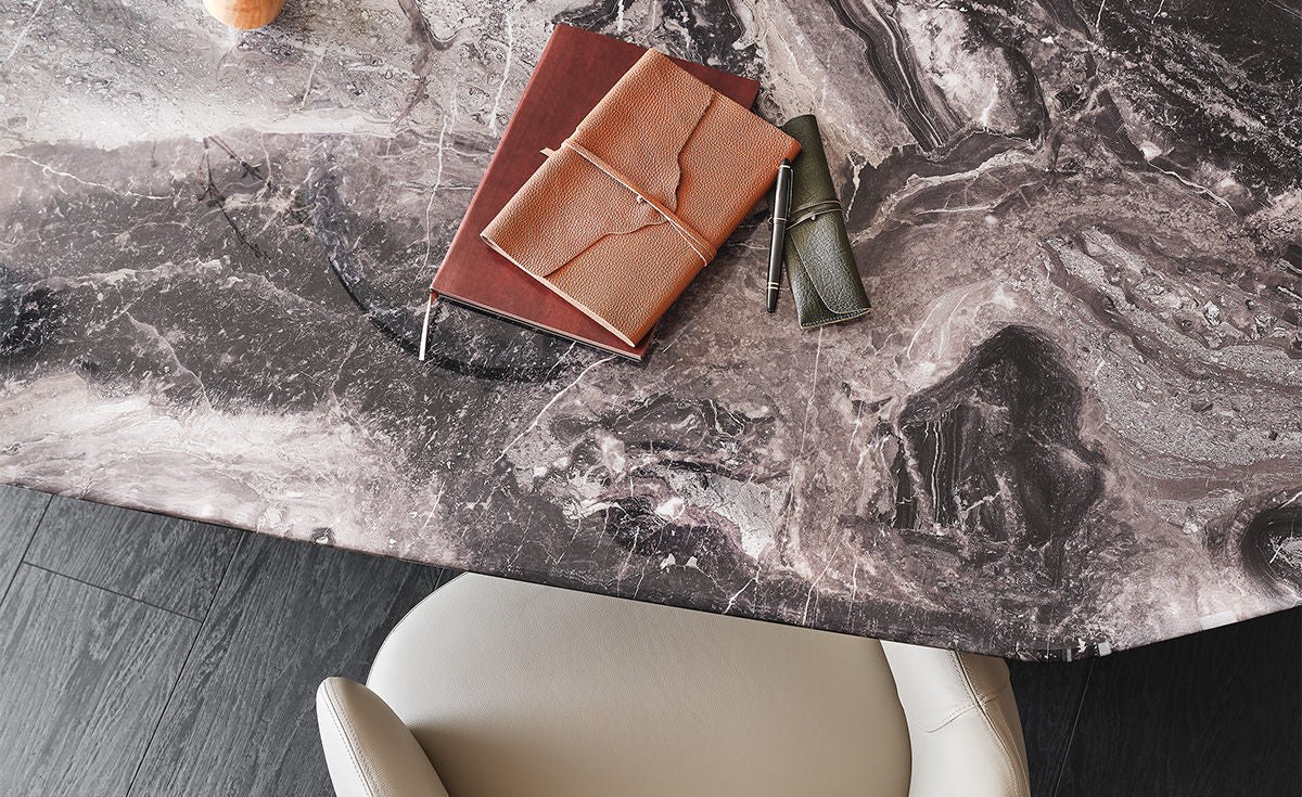 SENATOR