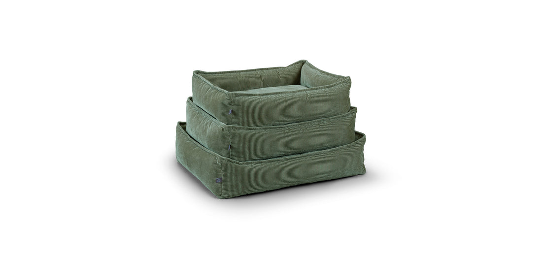 Molly Dog Basket