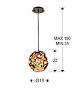 Schuller Narisa 1 Light Pendant 266035N