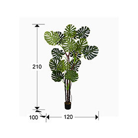 MONSTERA - ARTIFICIAL PLANT H210