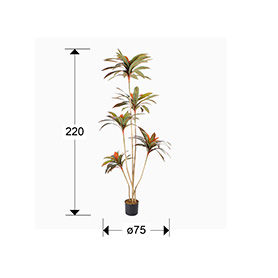 DRACENA ROJA - ARTIFICIAL PLANT H220