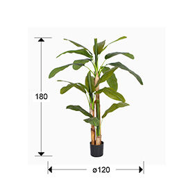 PLATANERA - ARTIFICIAL PLANT H180