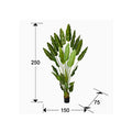 AVE PARAISO - ARTIFICIAL PLANT H250