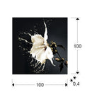 SCHULLER - Decoration Prints and Photos Splash 719360