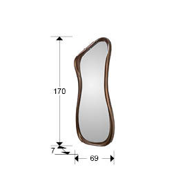 Gina 719469 Dark Bronze Mirror