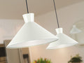Cono 12458