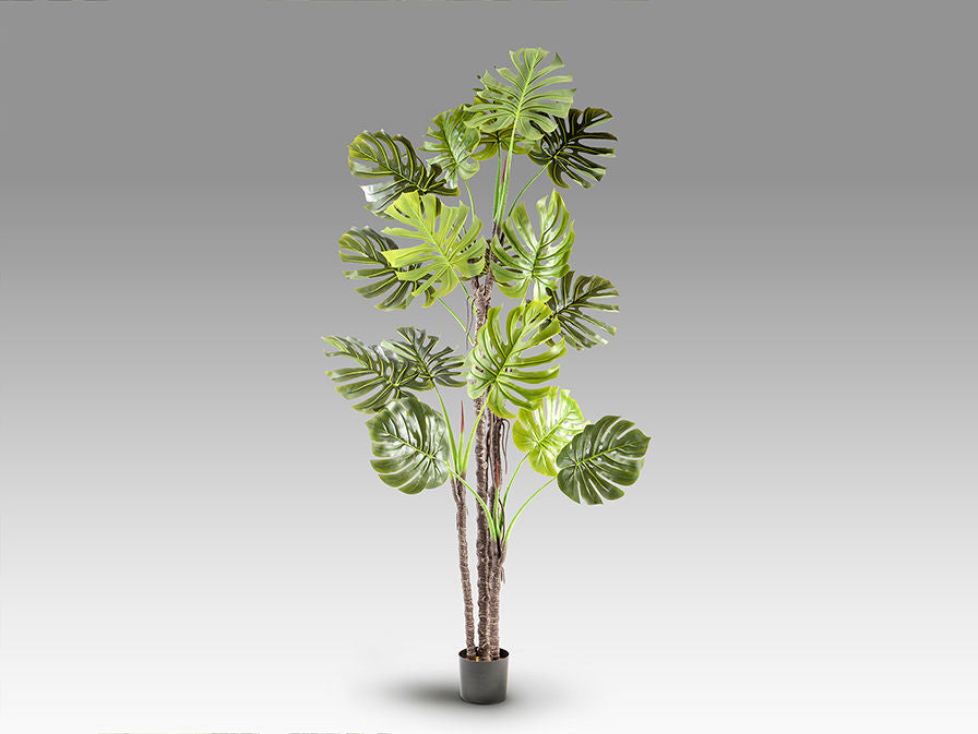 MONSTERA - ARTIFICIAL PLANT H210