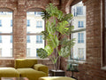 MONSTERA - ARTIFICIAL PLANT H210