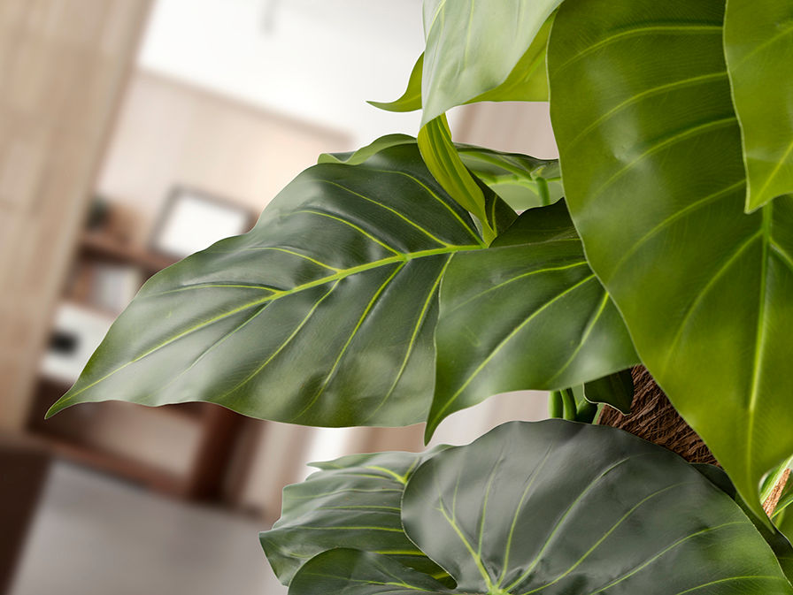 TARO - ARTIFICIAL PLANT H150