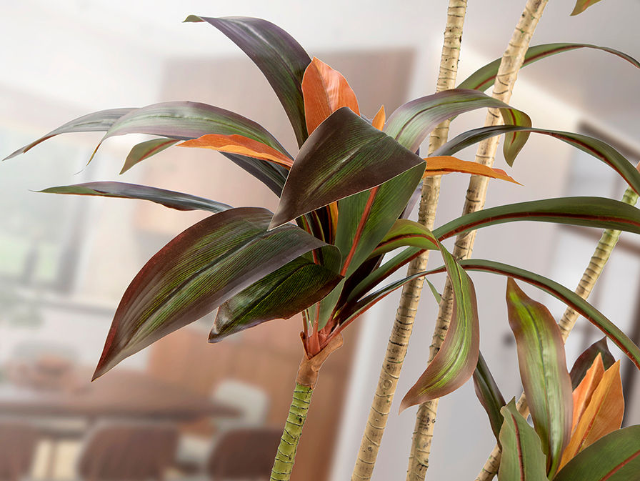 Dracena Roja - Artificial Plant H220