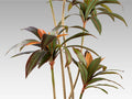 DRACENA ROJA - ARTIFICIAL PLANT H220
